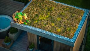 Green Roof