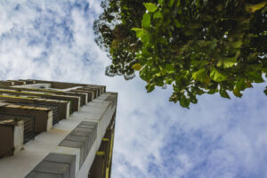 Greenest Roofing